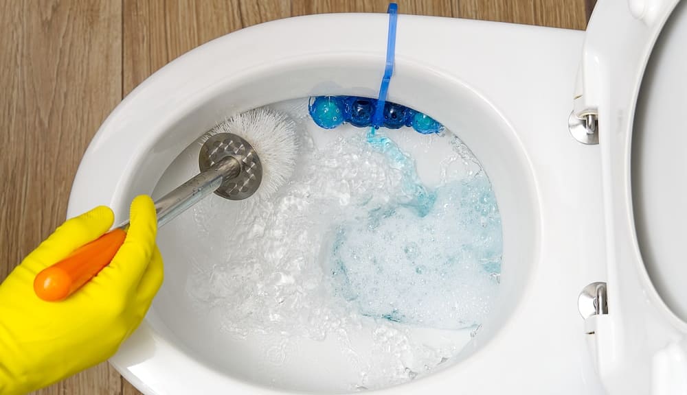4 Cara Memilih Pembersih Toilet Berkualitas dan Aman