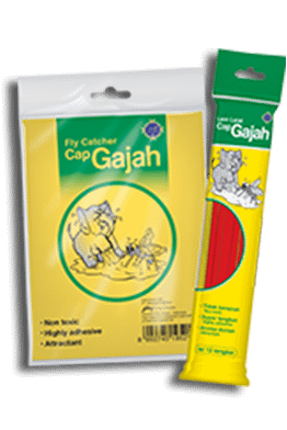 Yuk Simak 4 Kelebihan Lem Lalat Cap Gajah untuk Bisnis Makanan Anda Yuk Simak 4 Kelebihan Lem Lalat Cap Gajah untuk Bisnis Makanan Anda