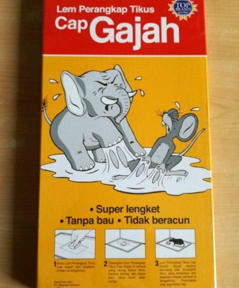 Cara Mudah Membasmi Tikus Dengan Lem Tikus Cap Gajah Cara Mudah Membasmi Tikus Dengan Lem Tikus Cap Gajah